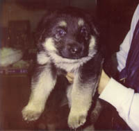 1 Months old