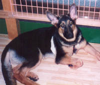 5 Months old