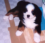 2 Months old