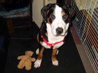 9 Months old
